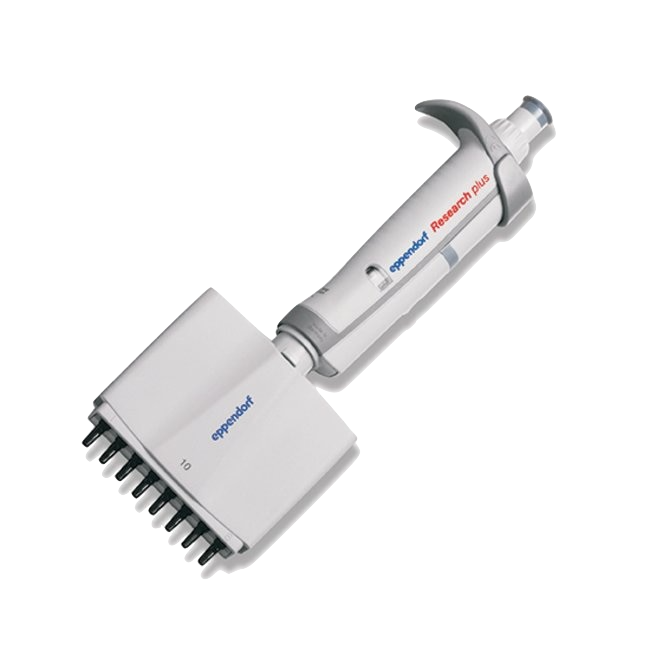 Multichannel pipette